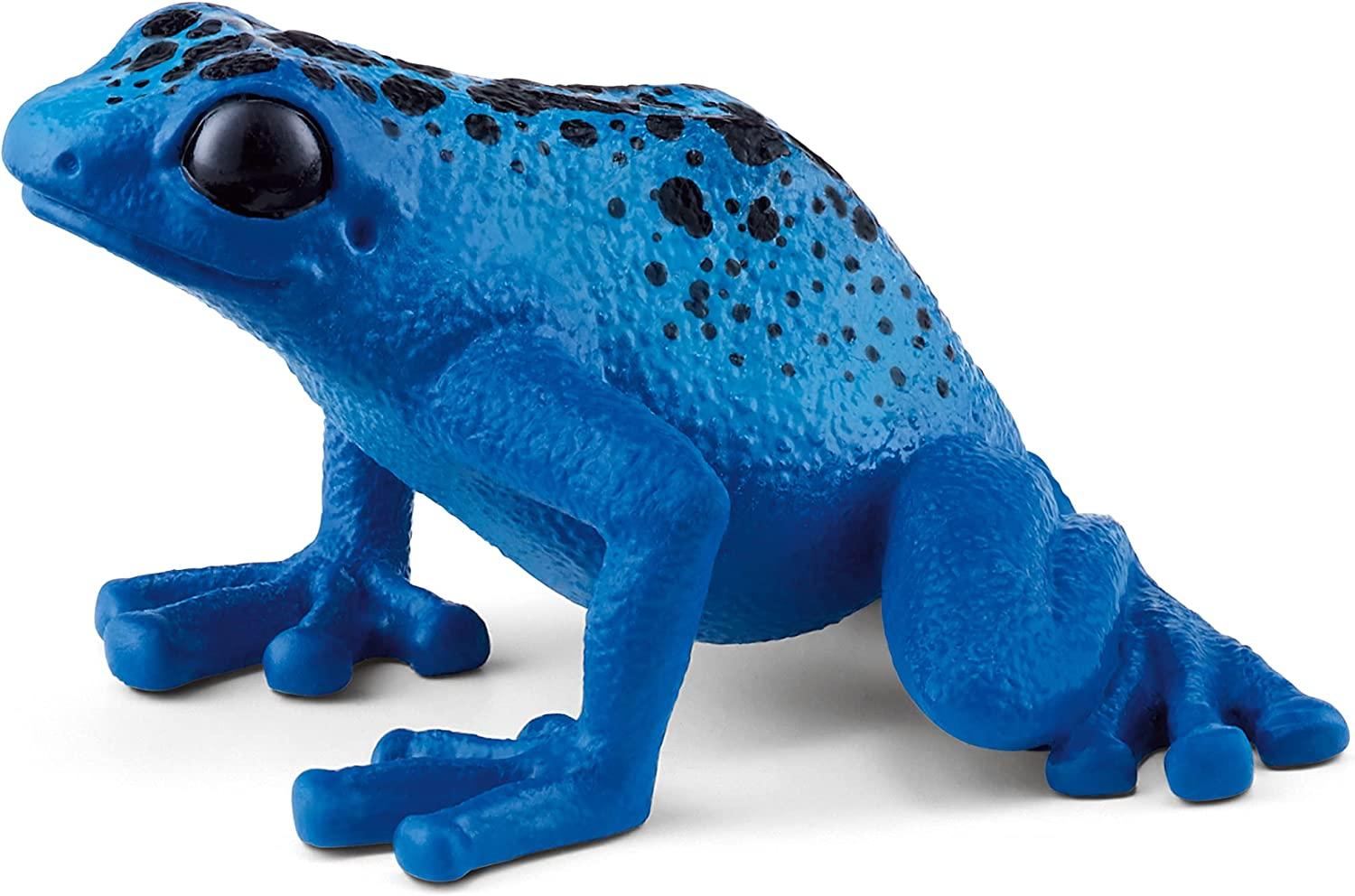 Poison Dart Frog