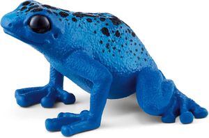 Poison Dart Frog