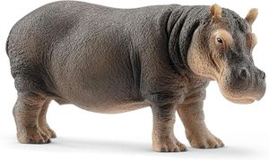 Hippopotamus