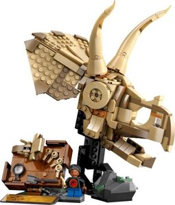 Dinosaur Fossils: Triceratops