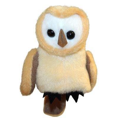 Barn Owl