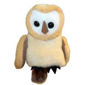 Barn Owl