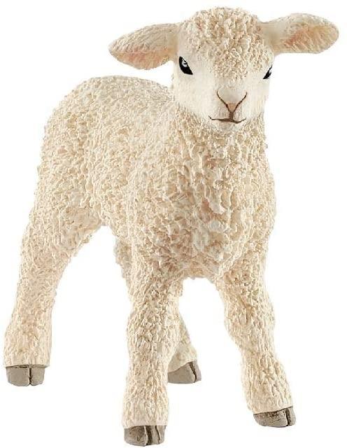 Lamb