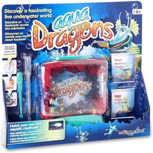 Aqua dragons Underwater World