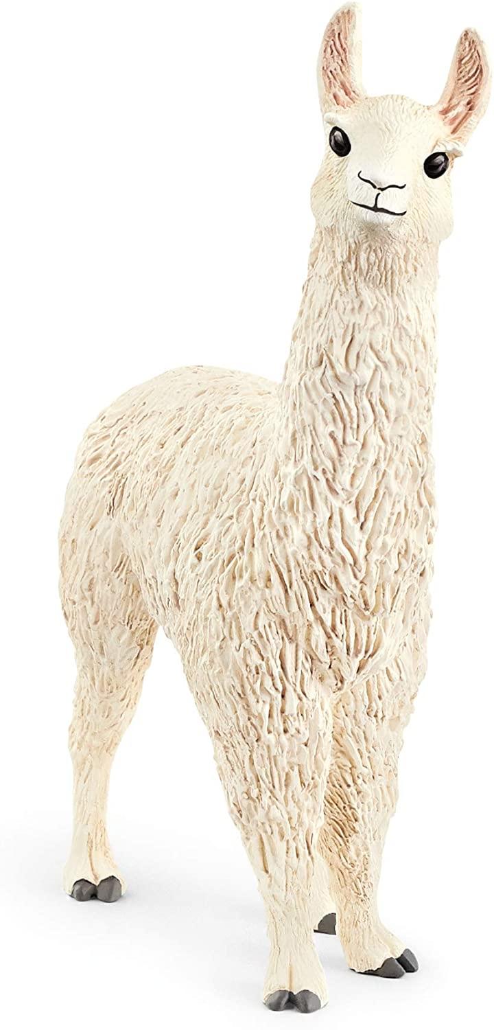 llama