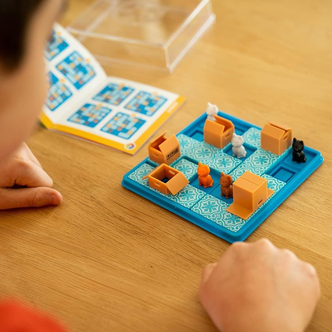 Cats and Boxes