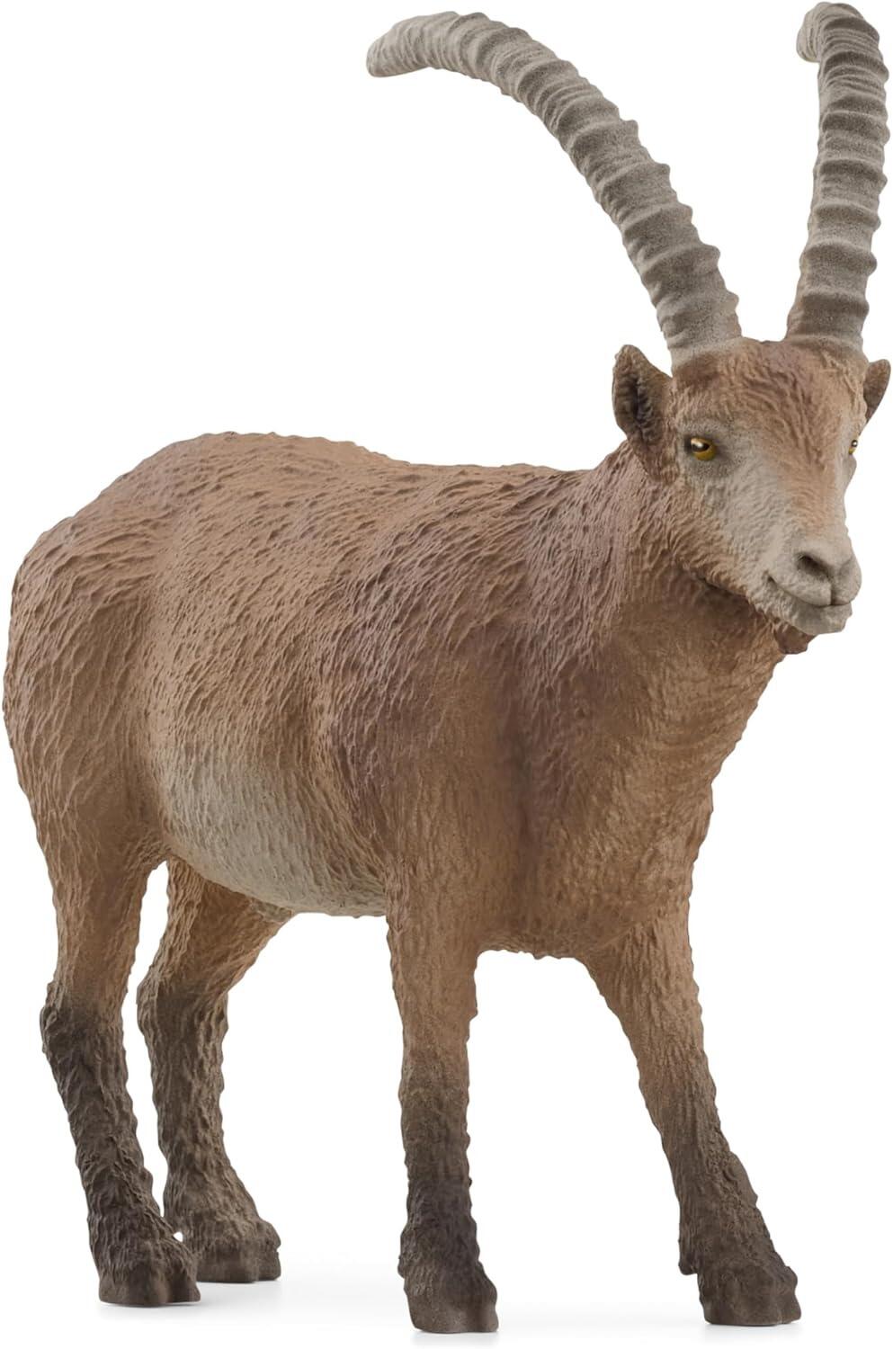Ibex