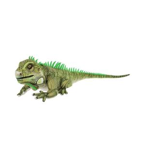 keeleco iguana