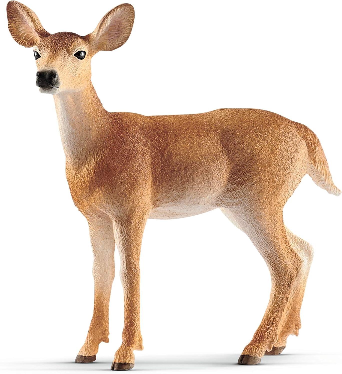 White Tailed Doe