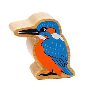 Natural Colourful Kingfisher