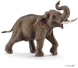 asian elephat