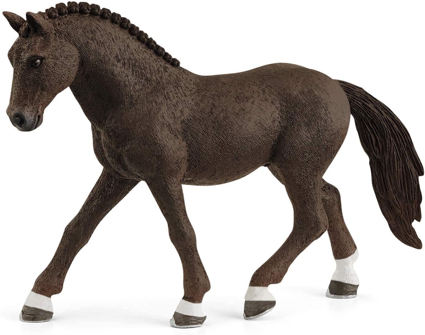 German Riding Gelding