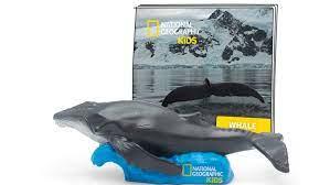 Whale Tonie