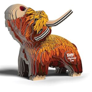 Highland Cow