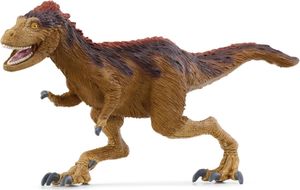 Morus Intrepidus