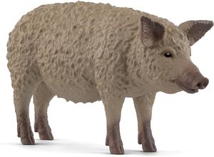Mangalica PIg