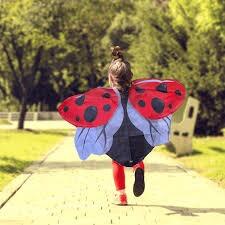 Ladybird Wings