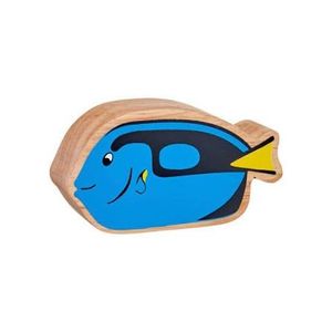 Natural Colourful Blue Tang