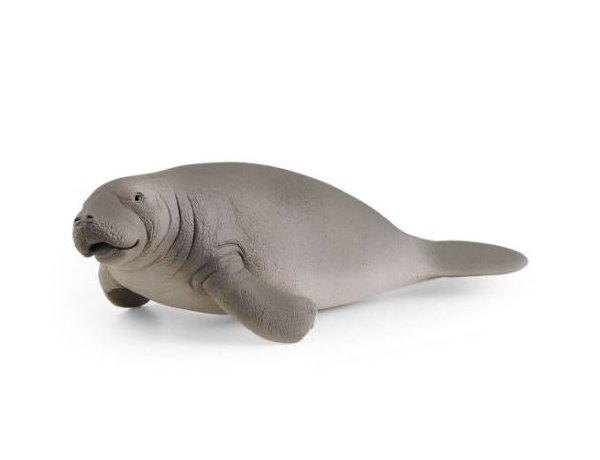 Manatee
