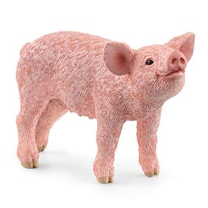 piglet