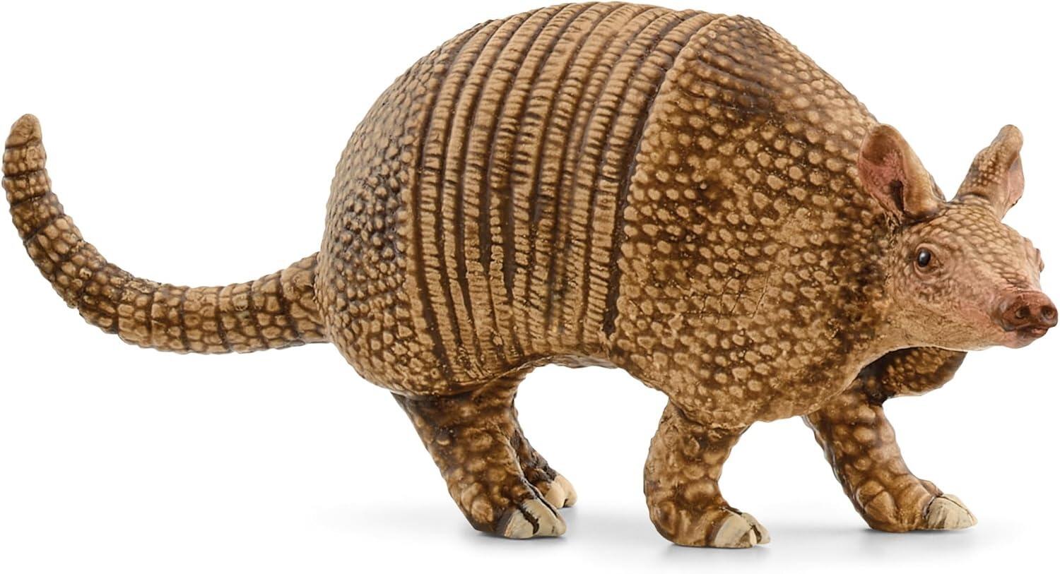 Armadillo