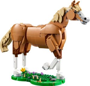 Creator Beautiful Horse