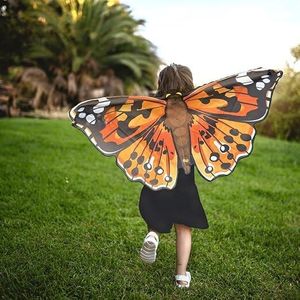 Butterfly Wings Painted Lady