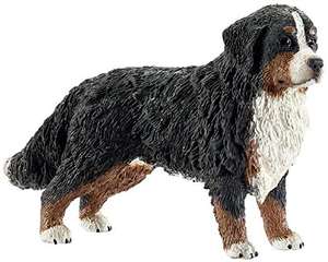 Bernese Mountain Dog