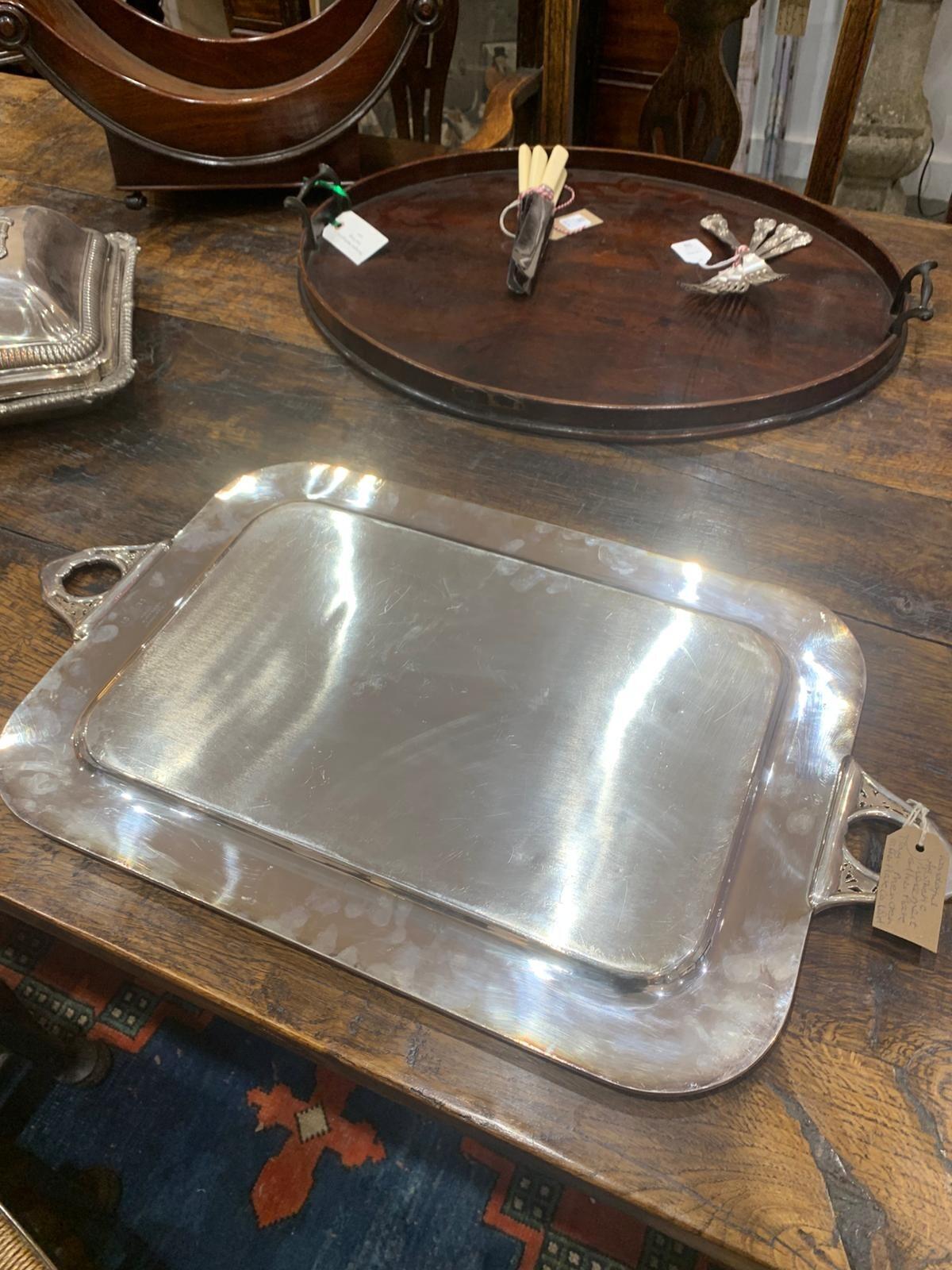 Aesthetic silver plate tray