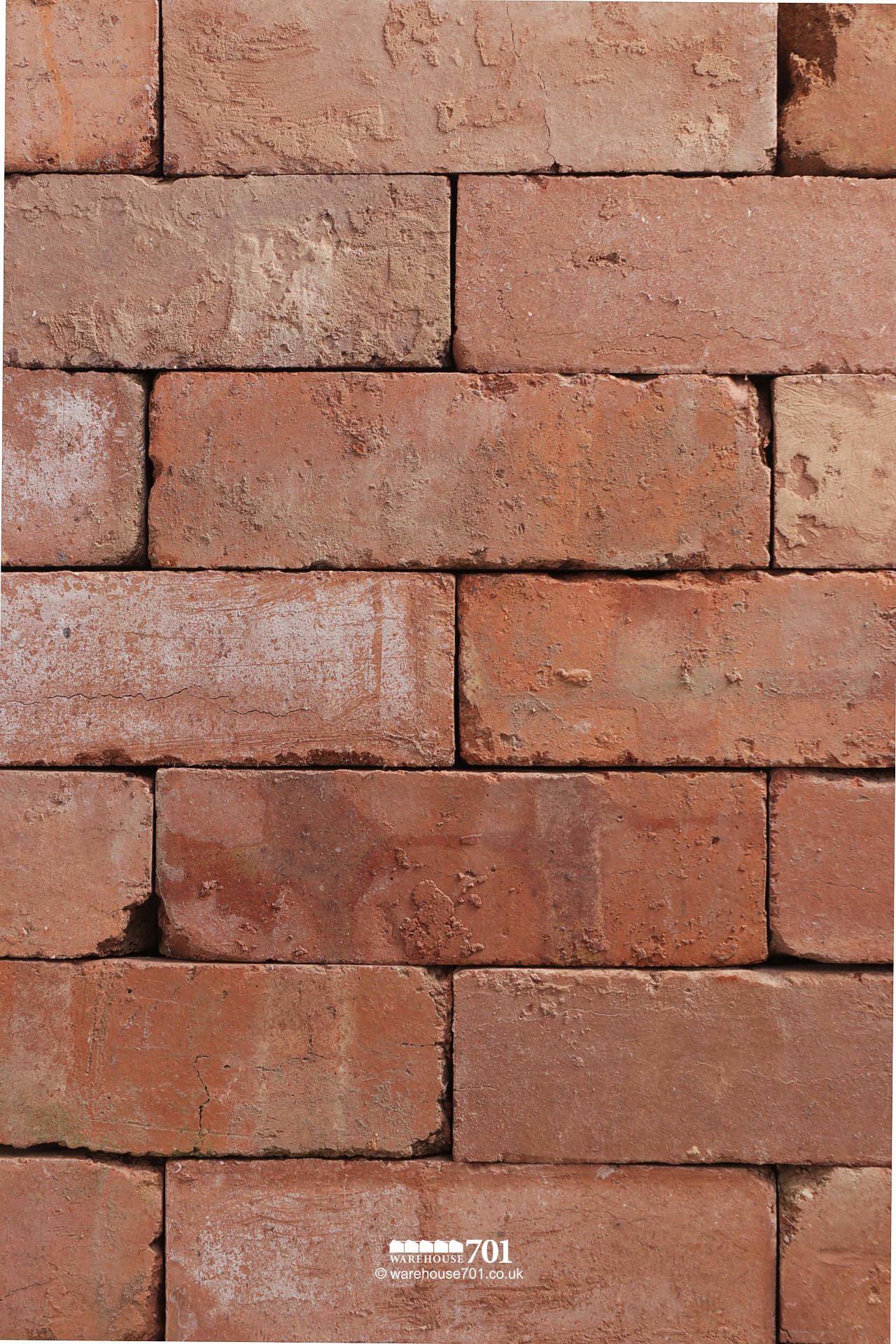 New 'Hereford look' Brick #2