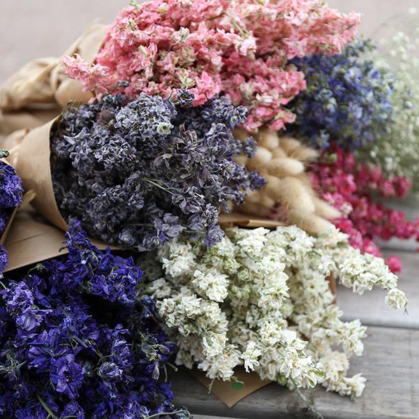 New Real Dried Flower Bouquet - Assorted #1