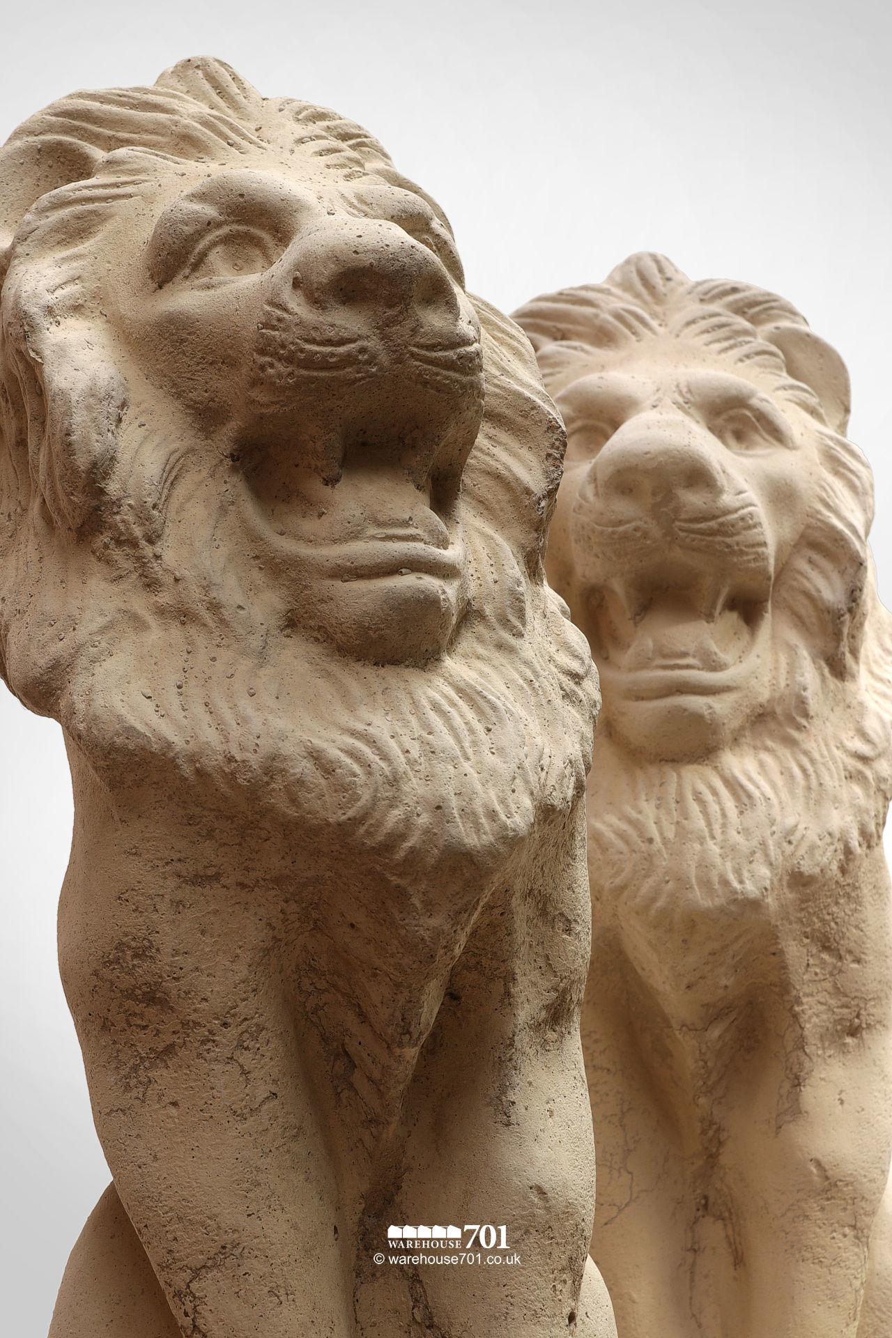 New Cast Stone Pair of Sitting Lion Statues #4