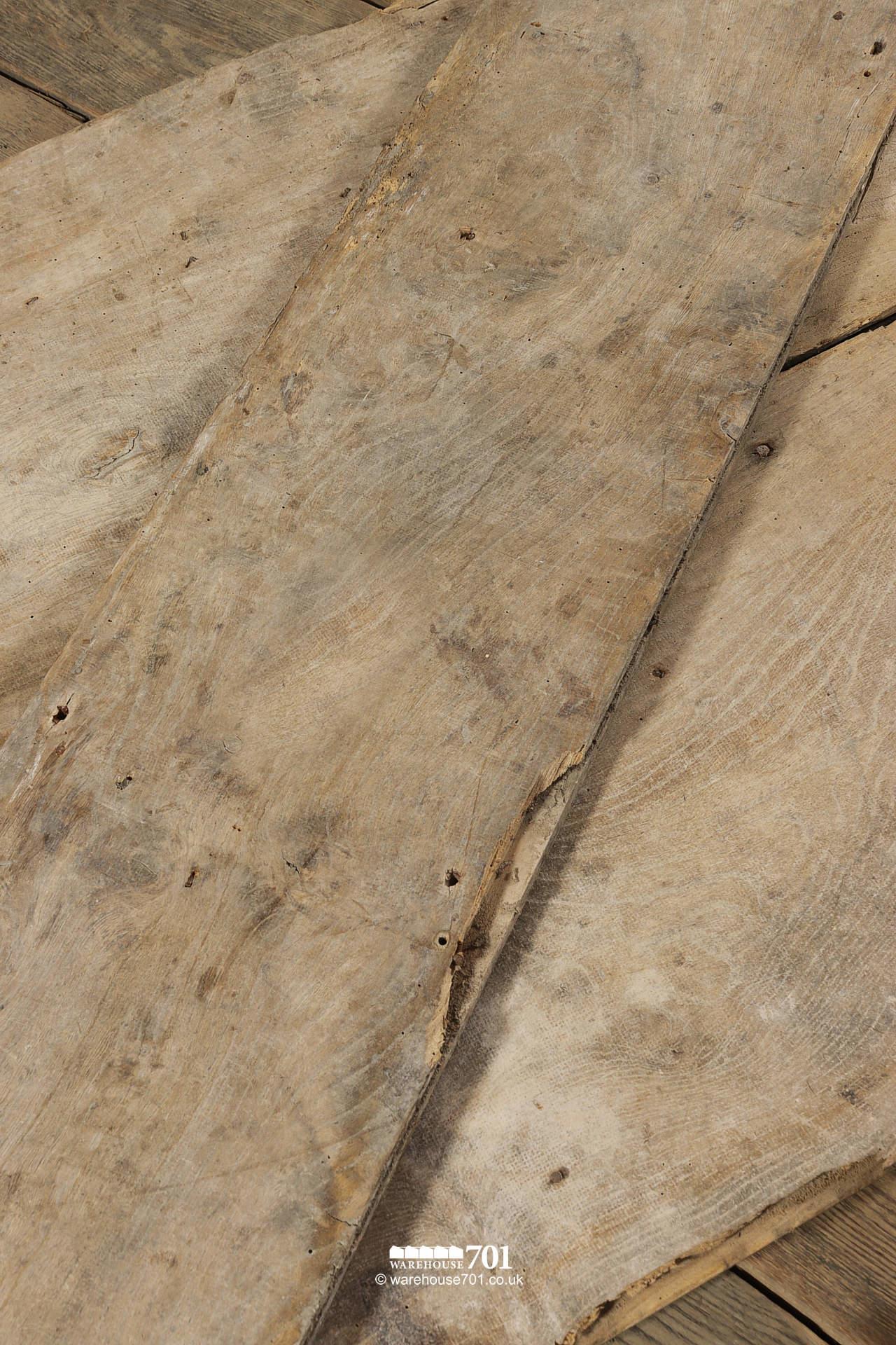 10m² Stunning All Original Salvaged 18th Century 15" Wide Board Elm Floor #5