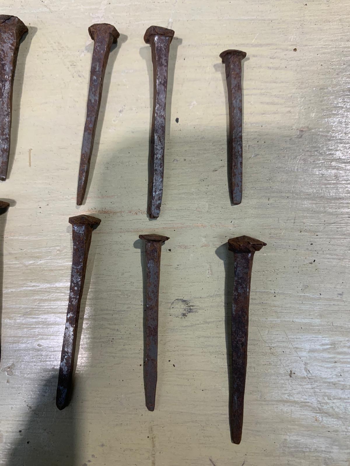 Blacksmith Made Nails set of 10
