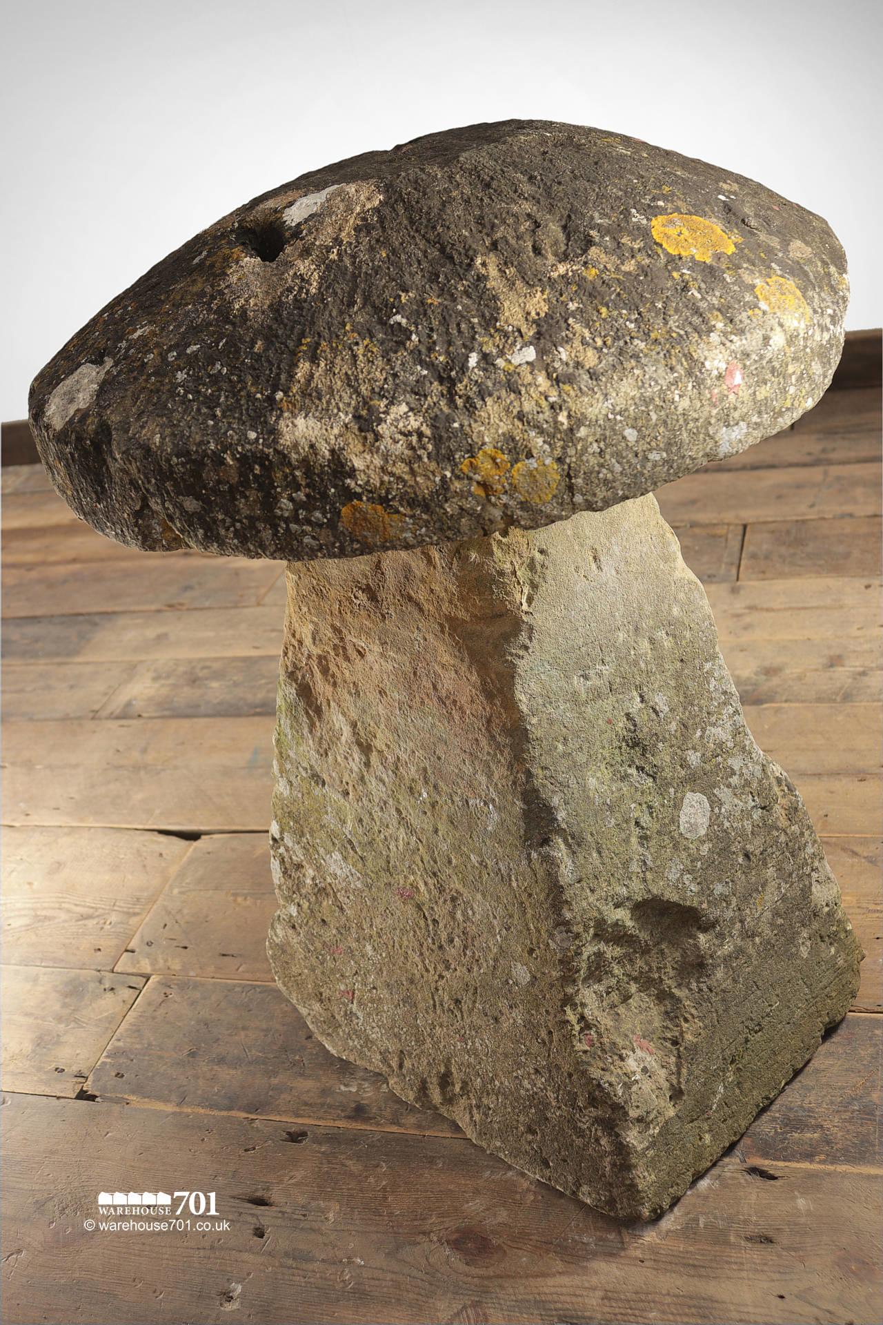 Salvaged Cotswold Oolitic Limestone Staddle Stone #2
