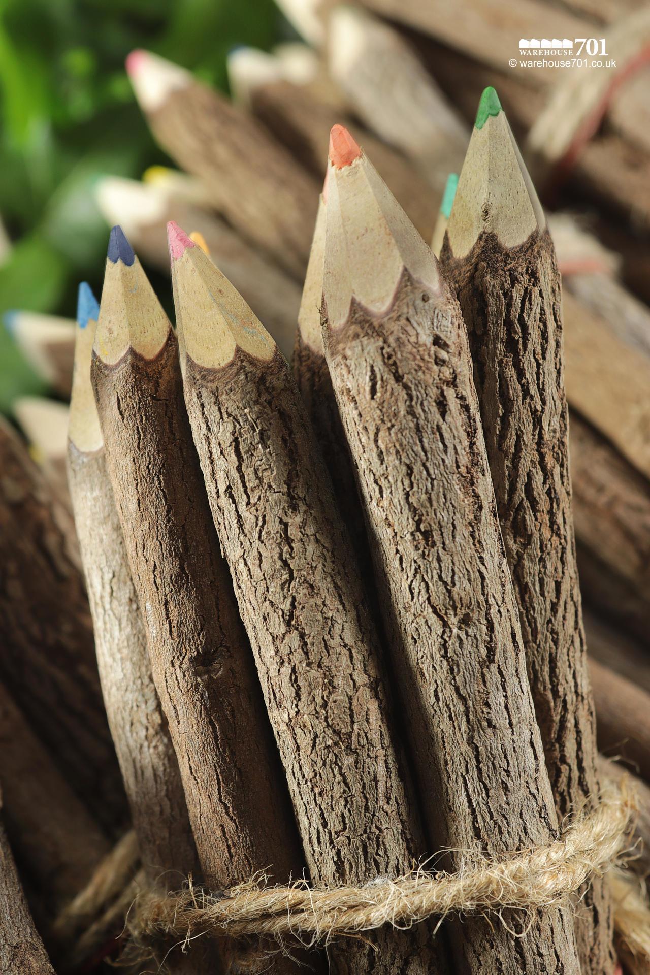 NEW Bunch of Ten Wood Bark Finish Coloured Pencils #1