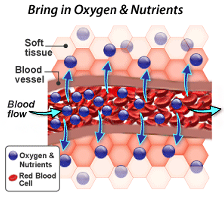 How Do Magnetic Therapy Products Heal?