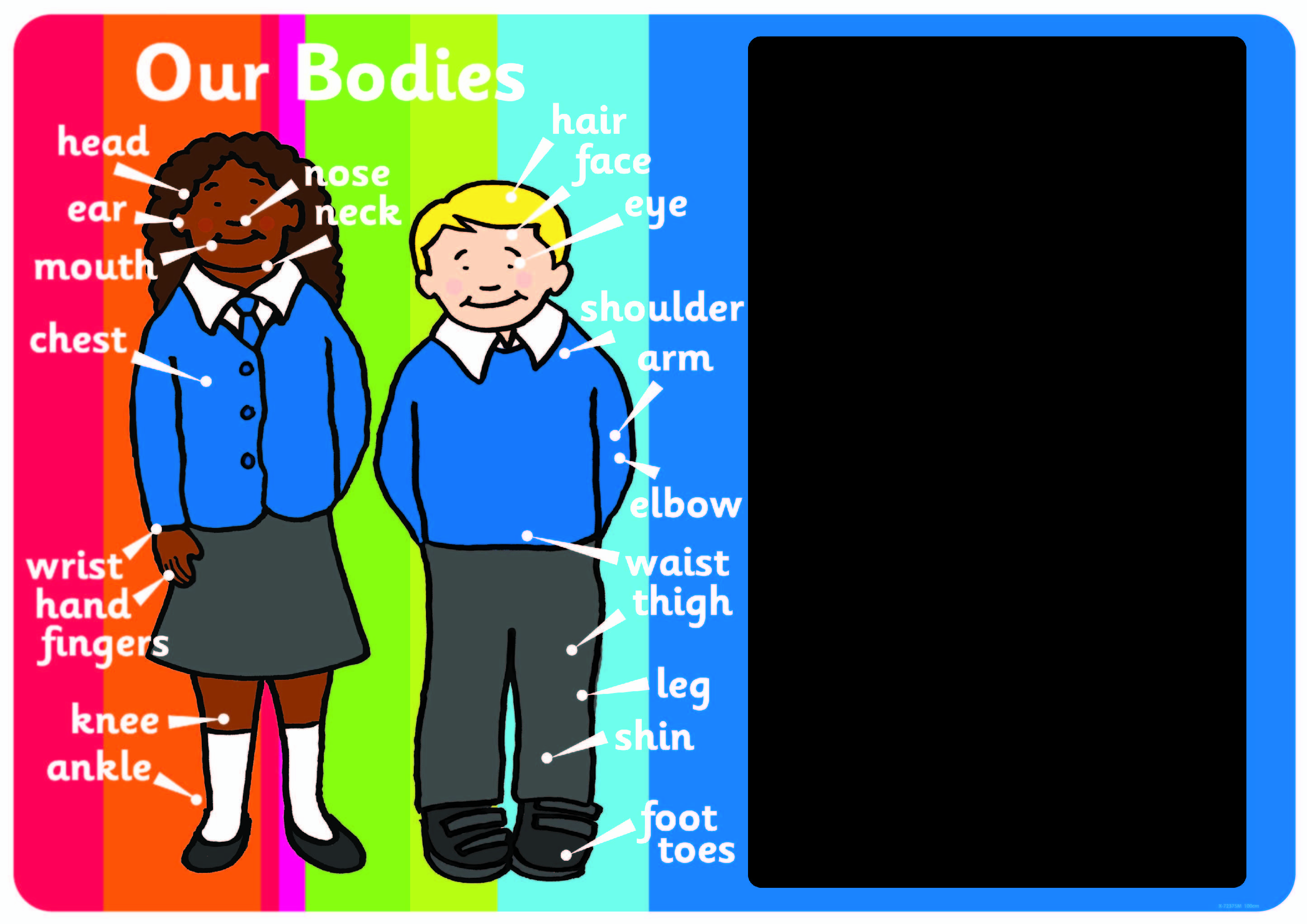 Our Bodies