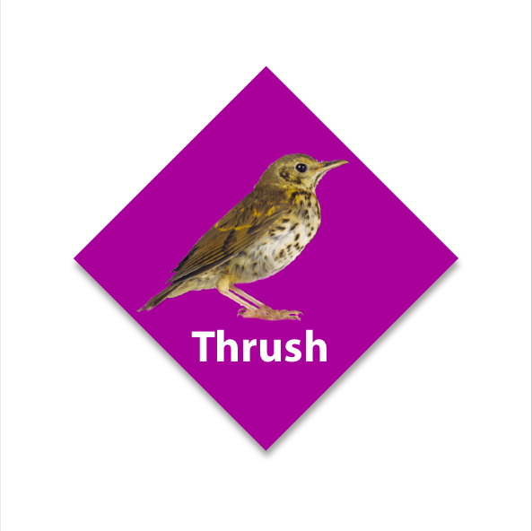 Diamond Birds