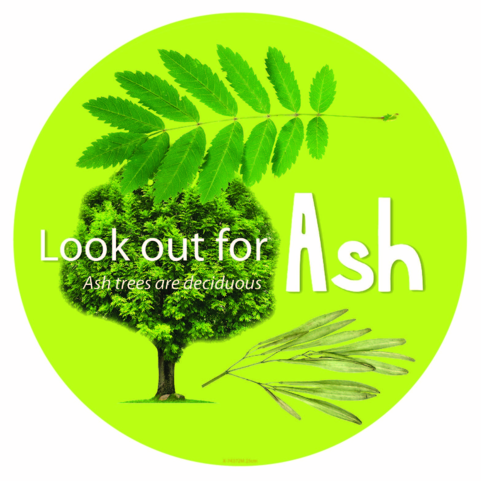 Set of 14 Tree Signs