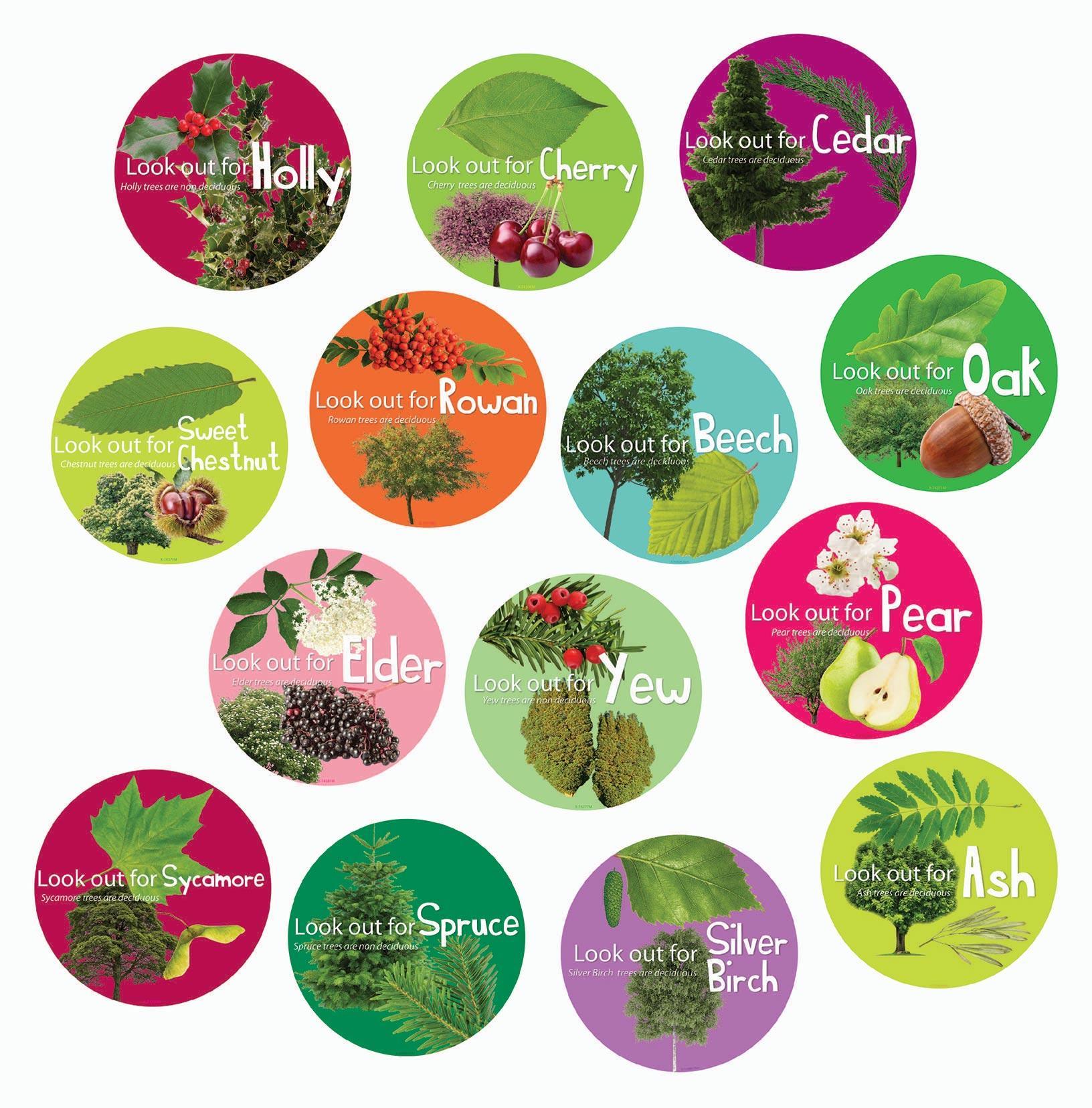 Set of 14 Tree Signs