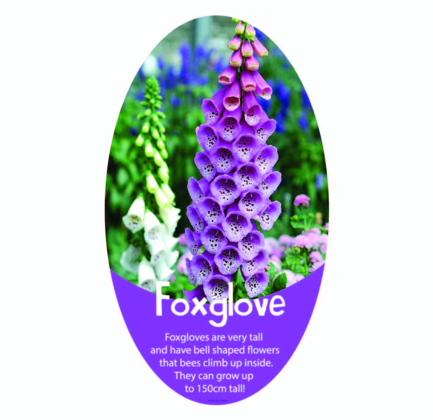 Set of 14 Wild Flower Signs