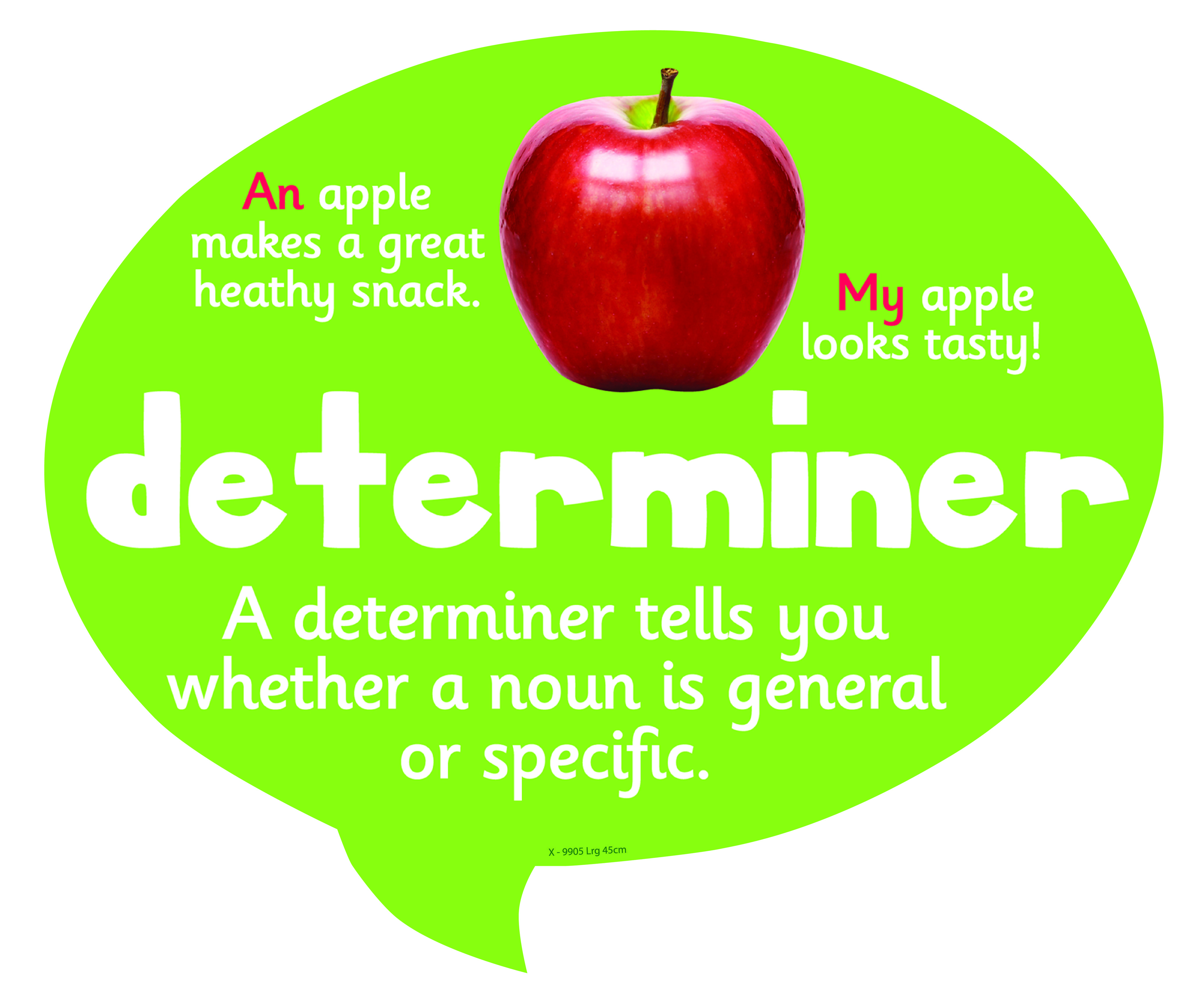 What Is A Determiner In English Grammar