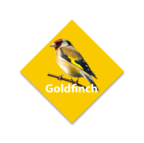 Diamond Birds