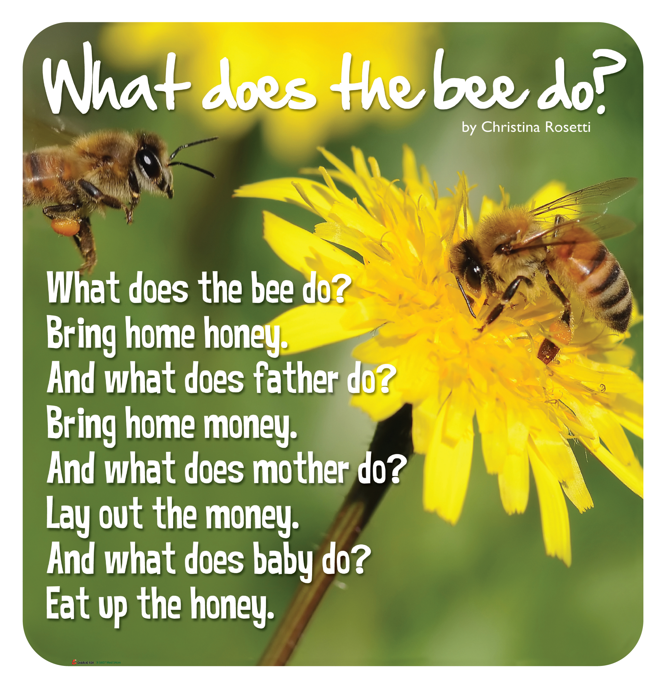 Is like a bee. Bee poem for Kids. A Waterfall the Sun a Bee a Bird произношение. What does the Bee do poem. What can Bees do перевод на русский.