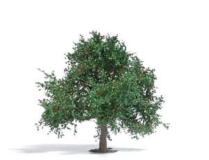 Busch 3652 75mm summer Apple tree