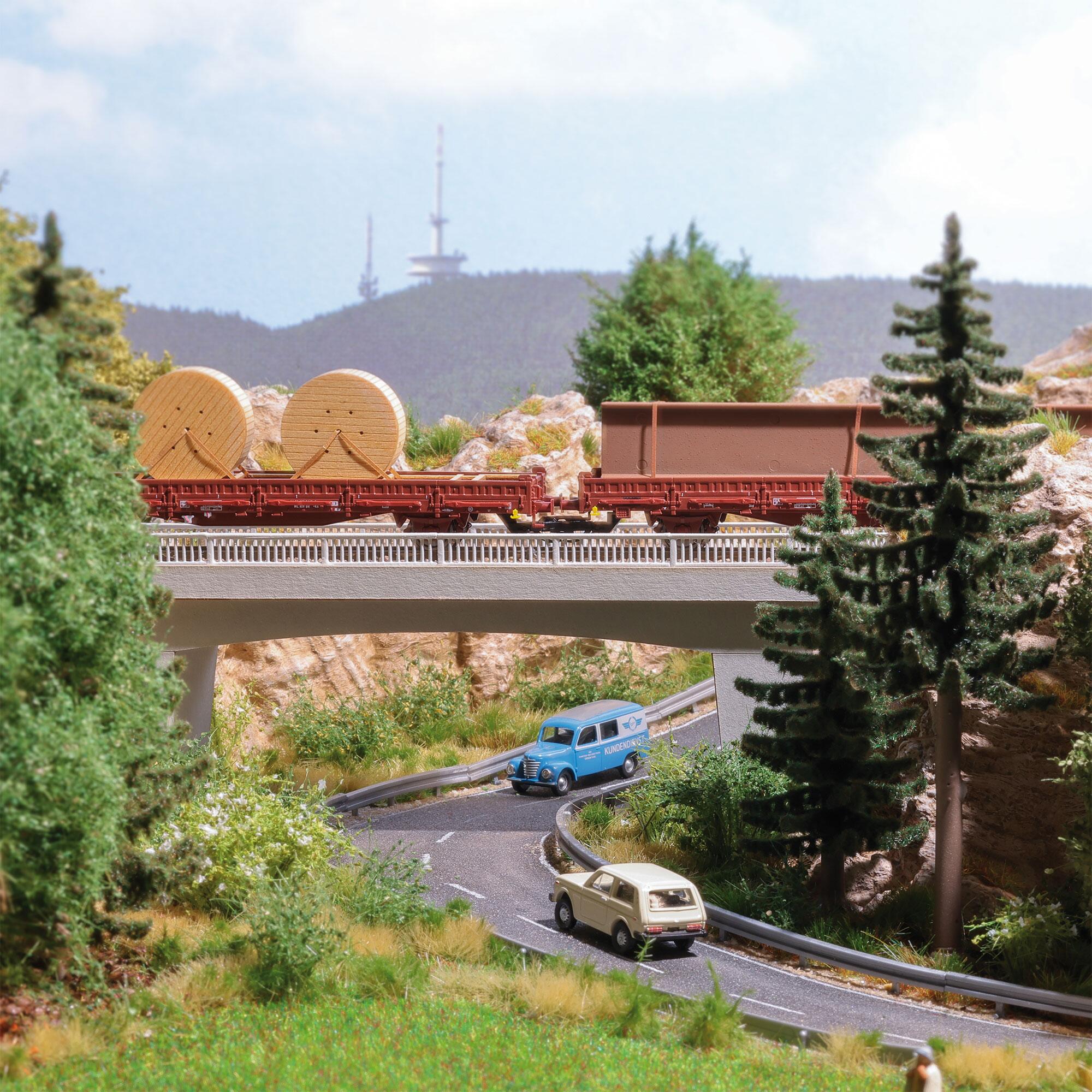 Busch 1100 Road overpass