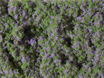 Auhagen 76931 Purple flower mat