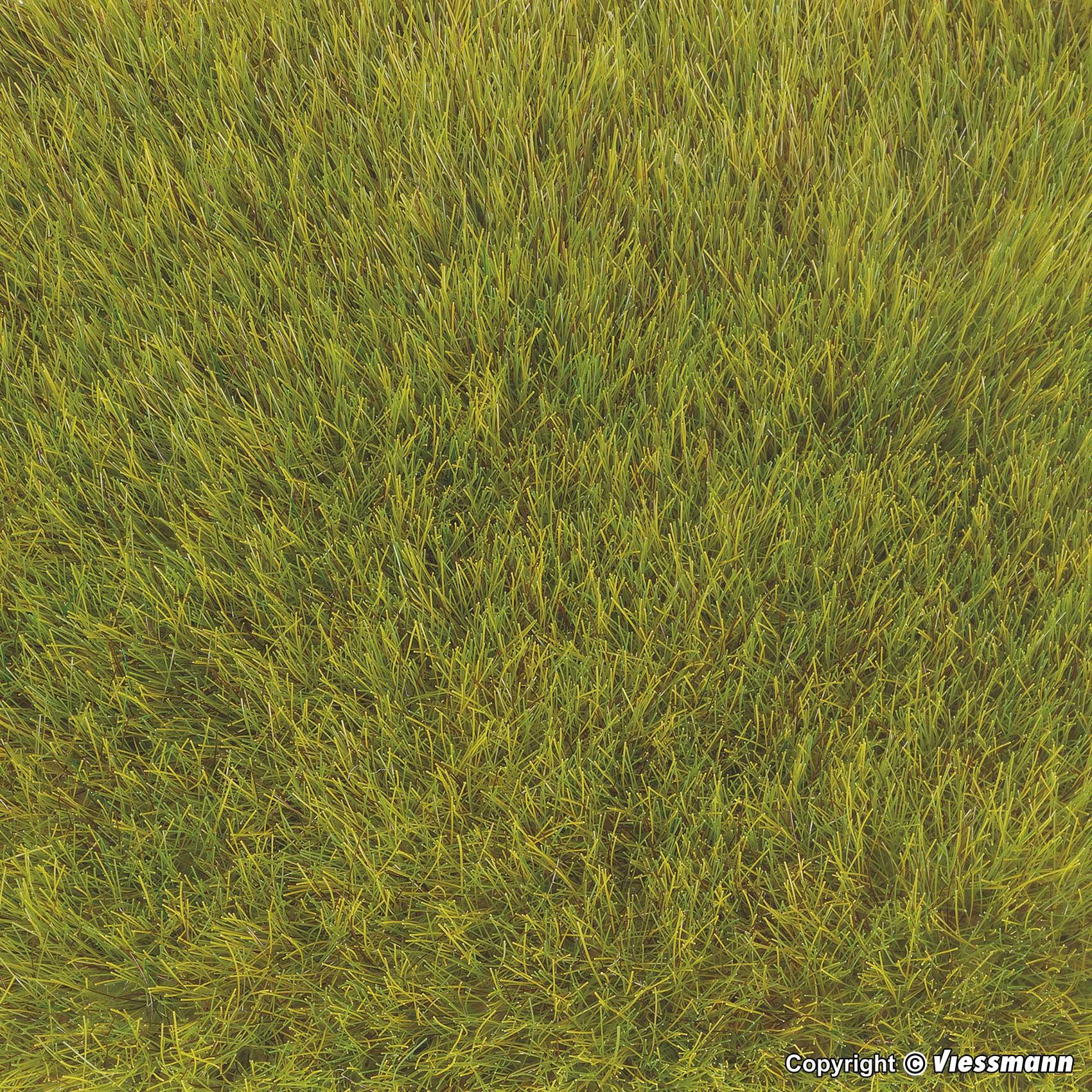 Spring green grass mat