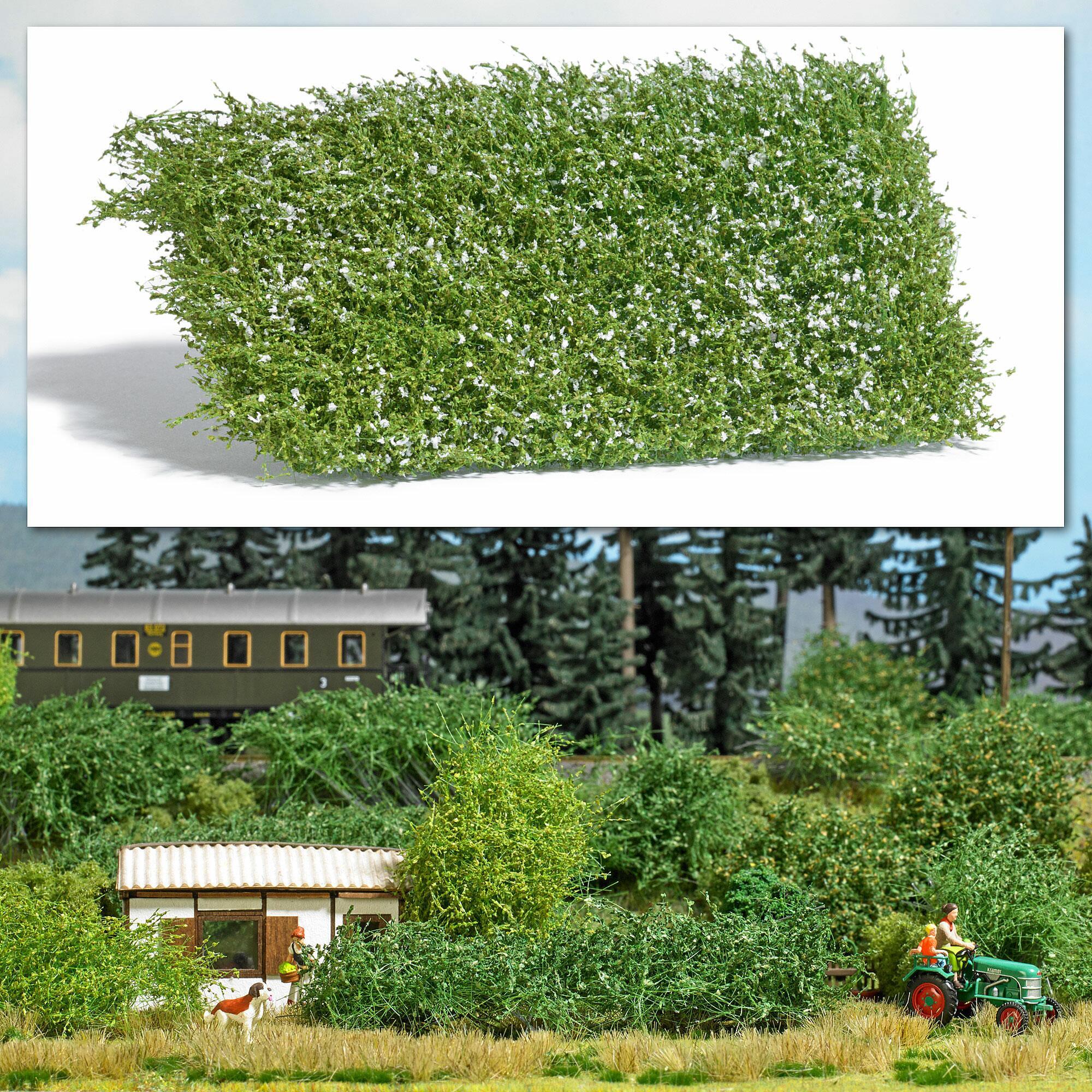 Bushes, Moss & Hedges